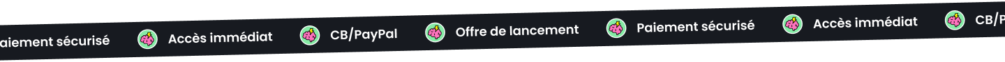 Bannière Paiement Sécurisé / Offre de Lancement