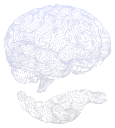 Cerveau